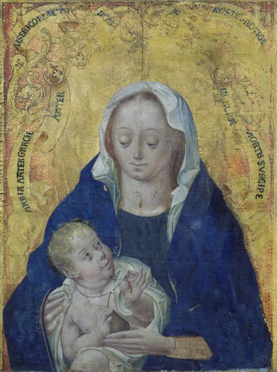 Virgin and Child by Flemish School